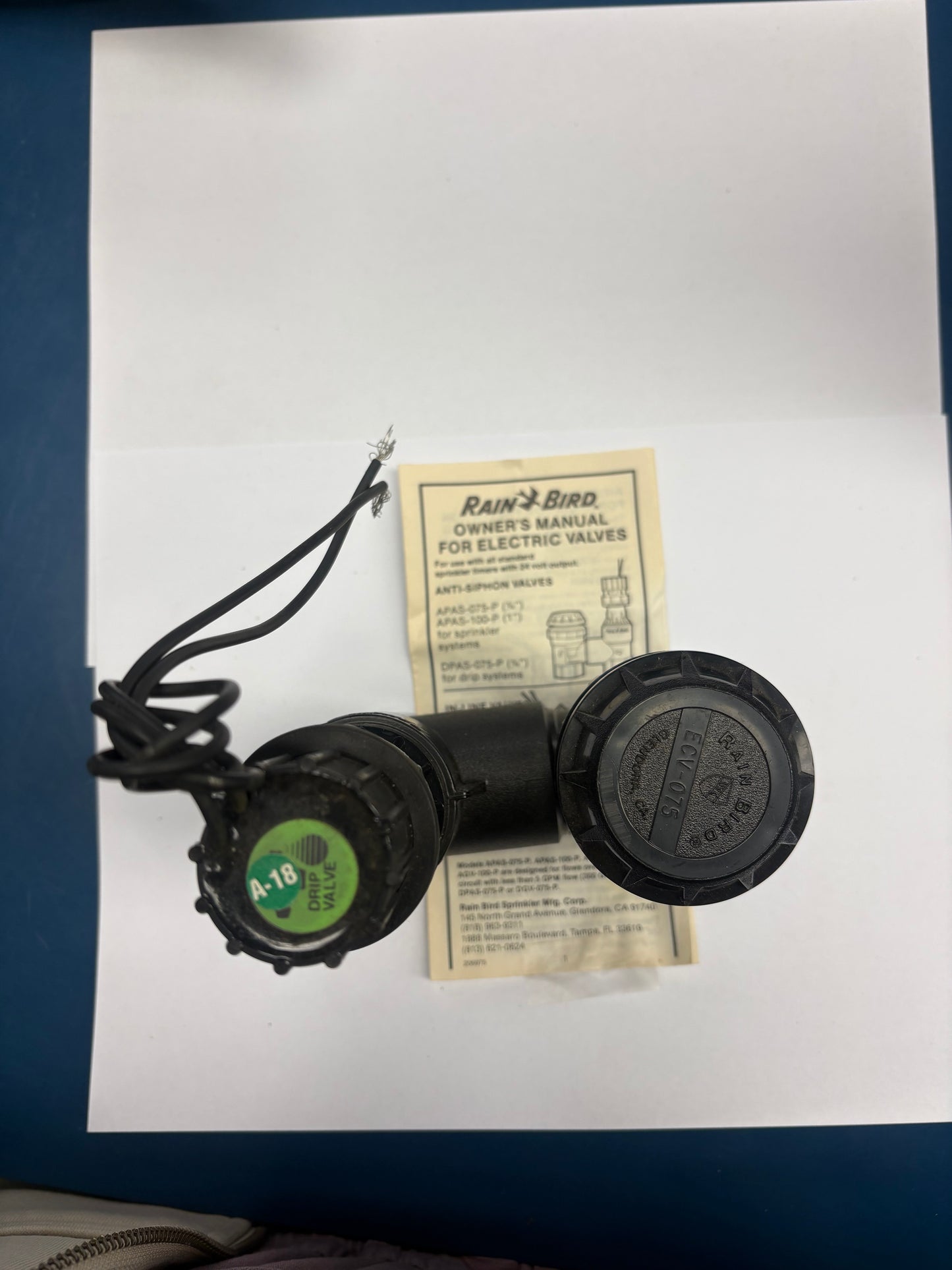 Rain Bird 3/4" Anti-Siphon Electric Valve