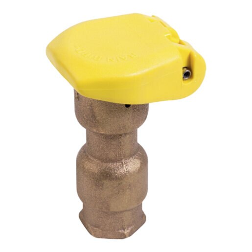 Rain Bird 3/4 in. Quick Coupling Valve 1Pc Rubber Cover