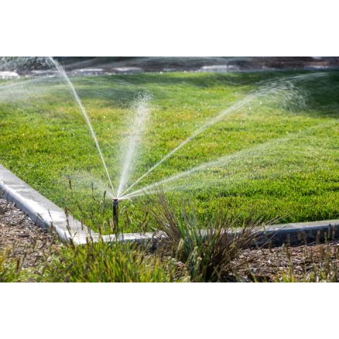 Spring Startup: How to Check Your Irrigation System for Winter Damage