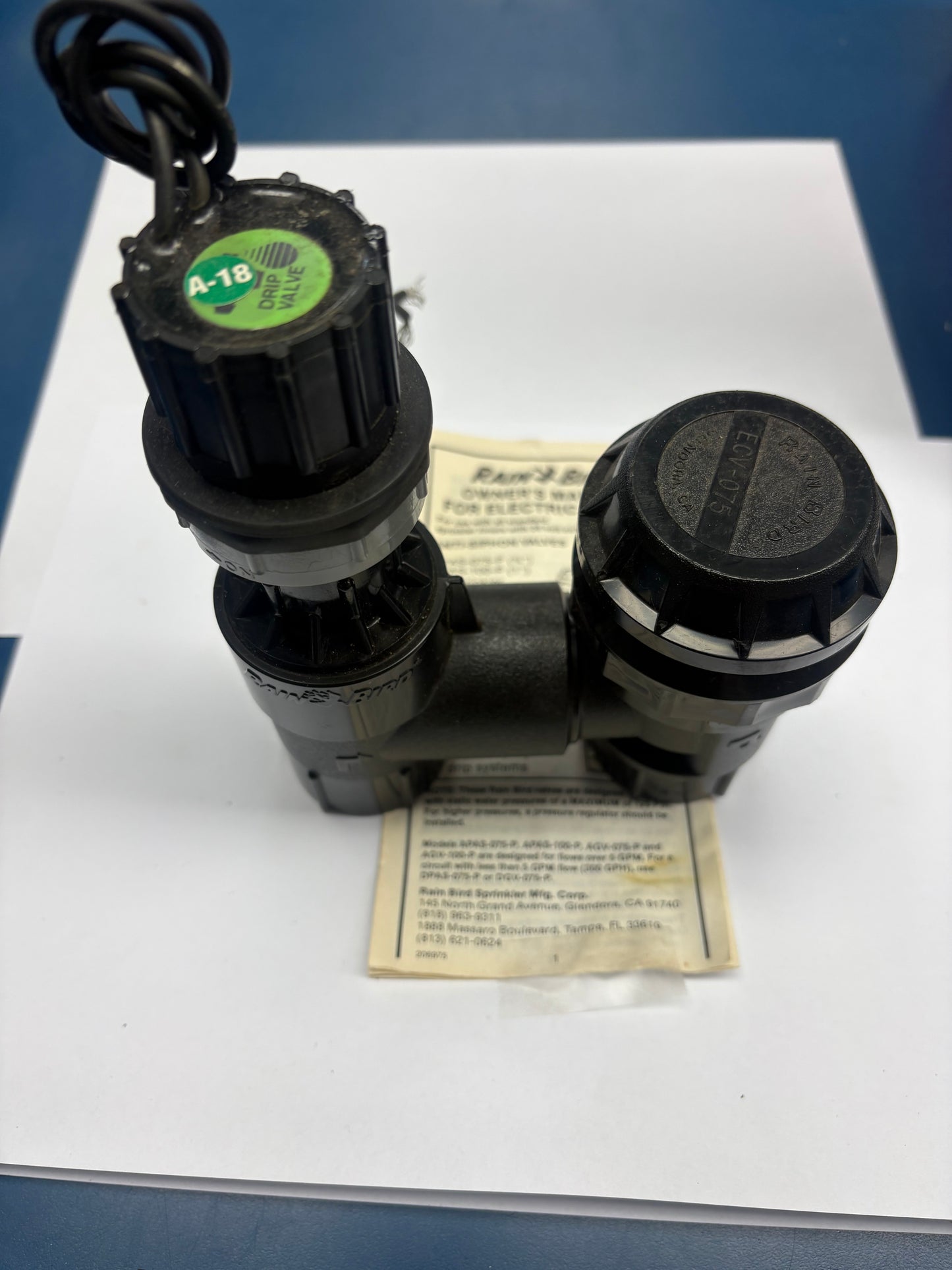 Rain Bird 3/4" Anti-Siphon Electric Valve