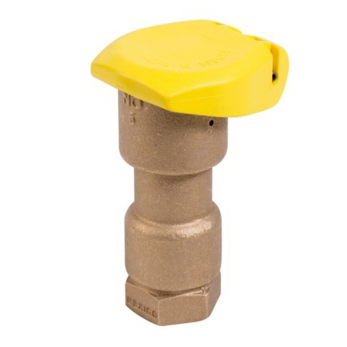 Rain Bird 1 in. Quick Coupling Valve 1Pc Rubber Cover